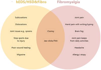 High overlap in patients diagnosed with hypermobile Ehlers-Danlos syndrome or hypermobile spectrum disorders with fibromyalgia and 40 self-reported symptoms and comorbidities